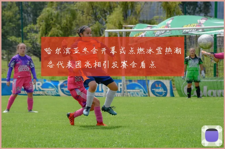 哈尔滨亚冬会开幕式点燃冰雪热潮 各代表团亮相引发赛会看点